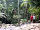 Maiala Rainforest Tour
 - Kangaroos, Mangroves and Ocean Tour Brisbane Nature Tours