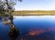 North Stradbroke Island Tour
 - Kangaroos, Mangroves and Ocean Tour Brisbane Nature Tours