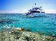 
 - Day Cruise to Great Barrier Reef - 3 Certified Dives Calypso Snorkel and Dive