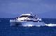 
 - Day Cruise to Great Barrier Reef - Snorkeller Calypso Snorkel and Dive