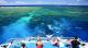 Back deck
 - Day Cruise to Great Barrier Reef - Snorkeller w/ Transfers Calypso Snorkel and Dive