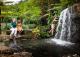 Botanic Gardens
 - Sunshine Coast Private Tour by Design/Private Tour by Design Coast to Hinterland Tours