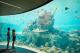 Underwater Observatory
 - Whitsunday Coast Airport to Daydream Island - one way Daydream Island Resort