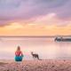 Girl and kangaroo at Habitat Noosa 
 - Everglades Explorer Everglades Eco Safaris