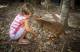 Animals
 - Reptastic 5 -  incl transfers from Palm Cove Hartleys Crocodile Adventures