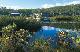 pool  - Fraser Island Beauty Spots Tour Kingfisher Bay Resort