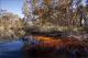 Stained Waters
 - Serenity Tour Everglades Eco Safaris