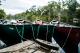 Canoes tied up  - Habitat Noosa