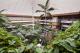 Tropical Atrium
 - Pavilion on Northbourne