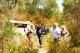 Seasonal spring wildflowers
 - Beach and Forest Eco Adventure 9am Departure Pemberton Discovery Tours