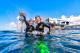 Lots of fun at the reef!
 - Cruise + 1 Introductory Dive - ex Cairns Reef Magic Cruises