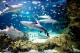 Reef Theathre
 - Sydney Aquarium Admission Sea Life Sydney Aquarium