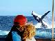 
 - Dolphin & Tangalooma Wrecks Cruise ex Gold Coast See Moreton