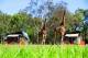  Accommodation, Hotels and Apartments - Zoofari Lodge