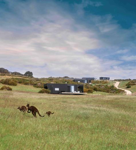 Cabins and kangaroos, CABN KI - CABN X Kangaroo Island