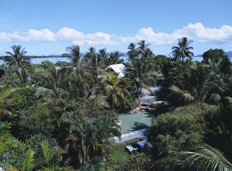 Seagulls Resort - Seahaven Resort