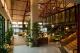 Lobby features greenery and reclaimed materials. - 1 Hotel Melbourne