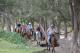 Horse riding for everyone - Bestbrook Mountain Resort Farm Stay