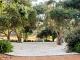 Olive grove with paddock views - Chambre Estate