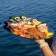 Seafood platter upgrade - Seafood Lunch Cruise Coastal Cruises Mooloolaba
