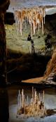 Mirror image of straws forming in the caves - Heritage & Hidden Treasures - Naracorte Caves & Yallum Pvt T Coonawarra Experiences
