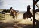 Horse Experience - Emirates One&Only Wolgan Valley