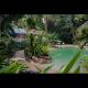 Pool - Ferntree Rainforest Lodge