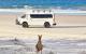 Bribie Island  - Bribie Island Day trip ex BNE G'Day Adventure Tours