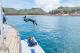 Diving in the turquoise Magnetic Island waters - Lncte Salg Crse, 4hrs/ Lnhtme Slg Crse, ex Mgtic Isl 4hrs Pilgrim Sailing
