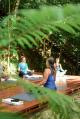 Yoga in the AM - Silky Oaks Lodge